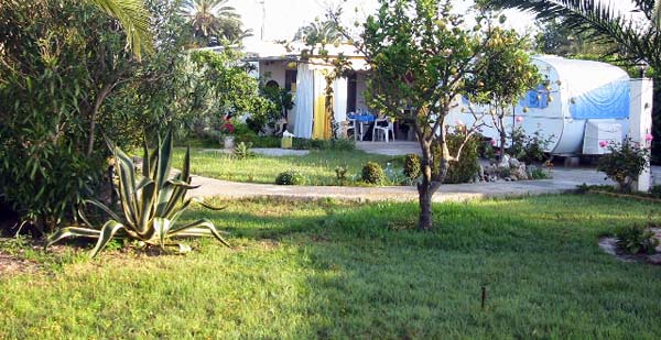Urlaub inmitten Orangenhainen der Costa Blanca in Oliva